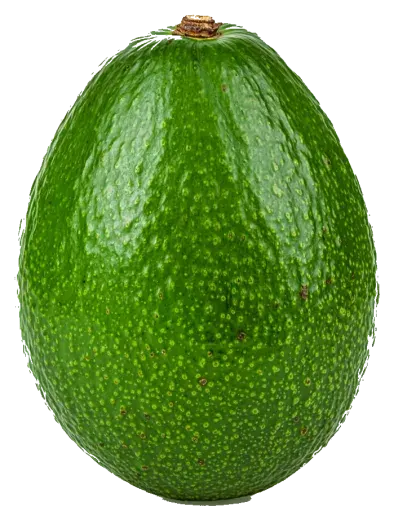 Avocat