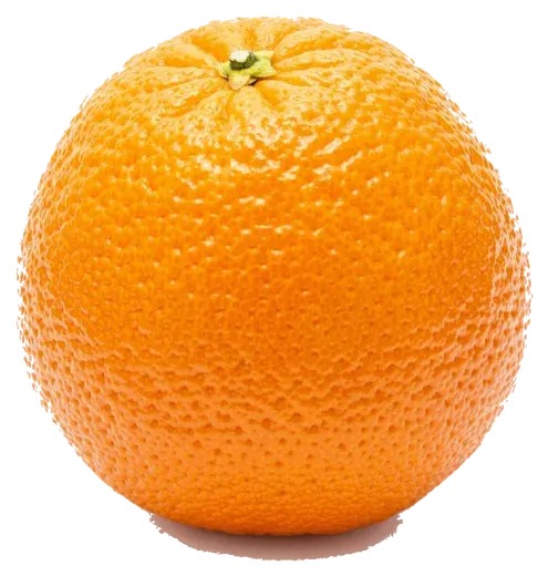 Navel orange