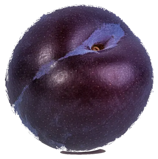 Prune