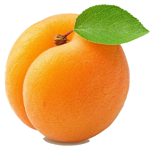 Abricot