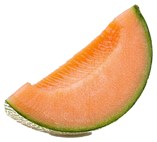 Melon