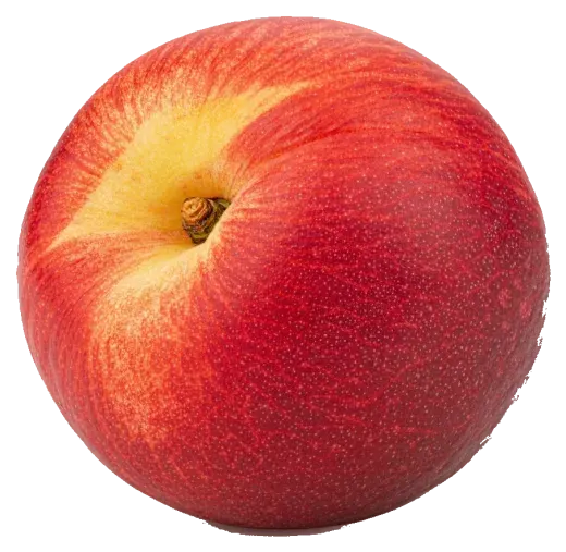 Nectarine