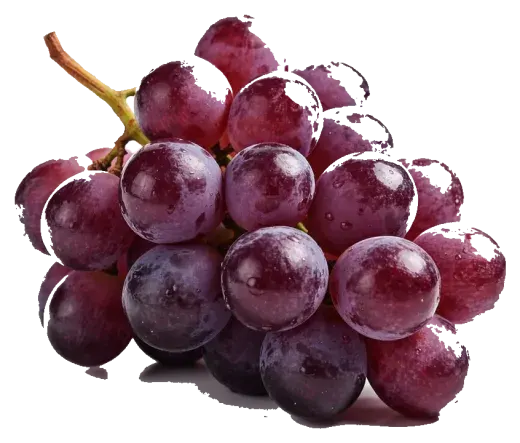 Raisin