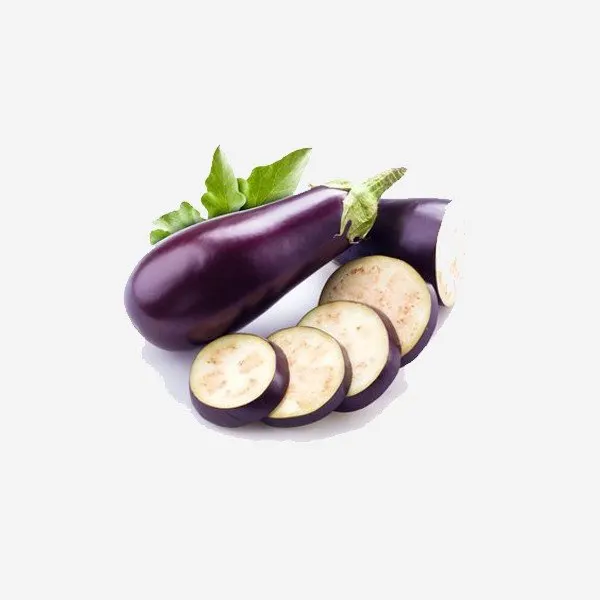 Aubergine bio
