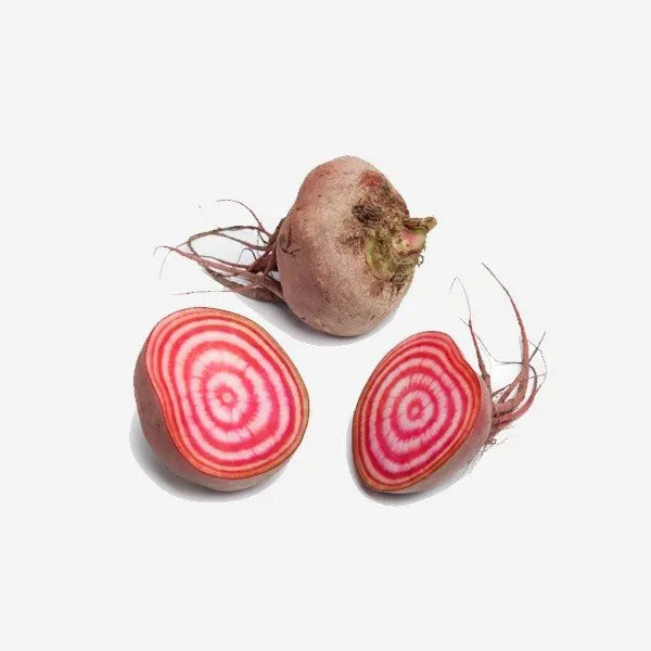 Betterave chioggia bio