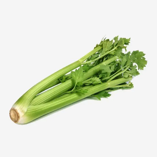Céleri bio