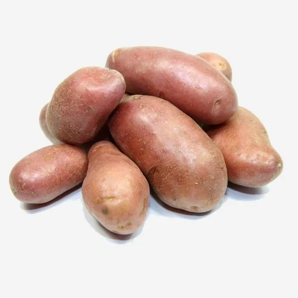 Grenaille pdt rouges bio