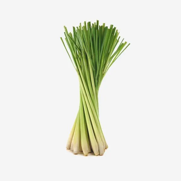 Citronnelle bio