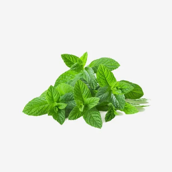 Herbes