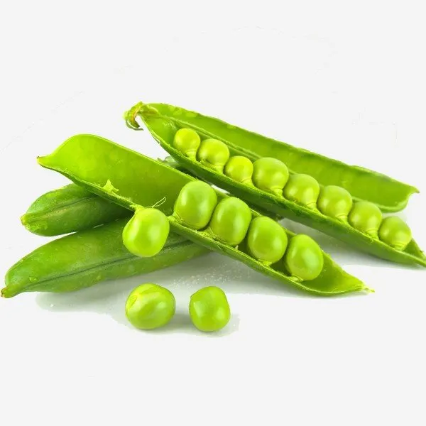 Petits pois bio