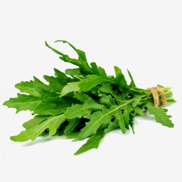 Roquette bio