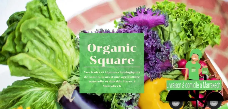 Organic Square